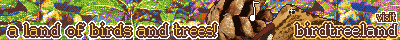 Visit birdtree land, a land of birds and trees!