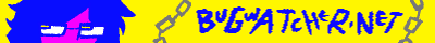 Visit bugwatcher dot net